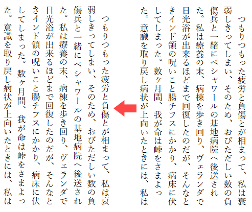 ryotan.png(31475 byte)